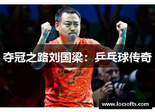 夺冠之路刘国梁：乒乓球传奇
